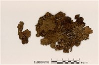 藏品(島衣屬)的圖片